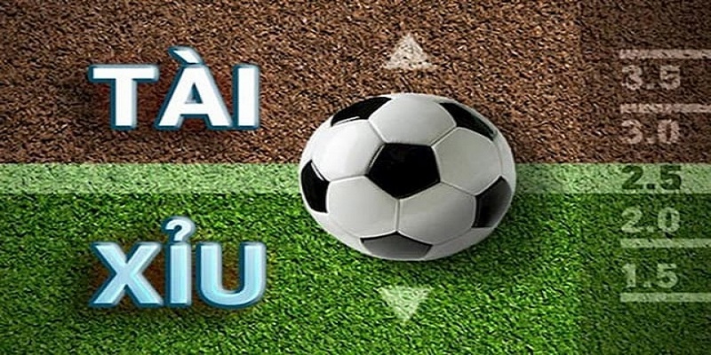 Thông tin chung về kèo tài xỉu Thông tin chung về kèo tài xỉu