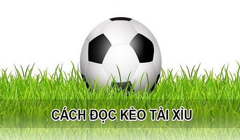 Top những loại kèo phổ biến nhất thời điểm hiện tại Top những loại kèo phổ biến nhất thời điểm hiện tại